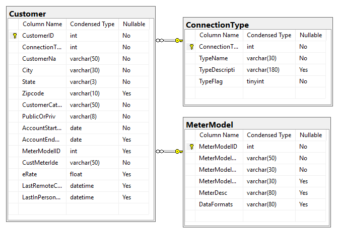 Customer Entity